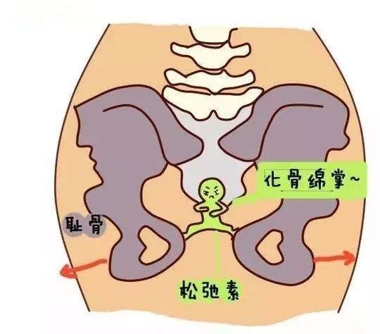 孕期肚子下面骨头疼痛难忍 你有过这种感受吗