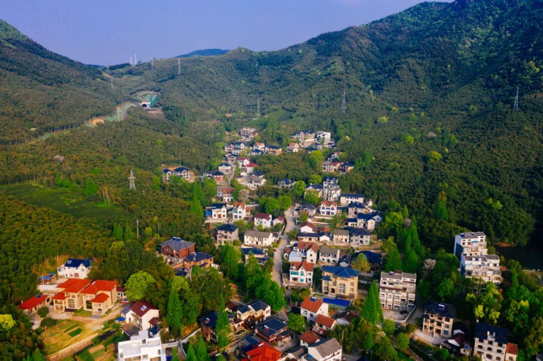 安吉汀溪山居毗邻景区 | 一站式玩乐 | 听溪望山1717171717