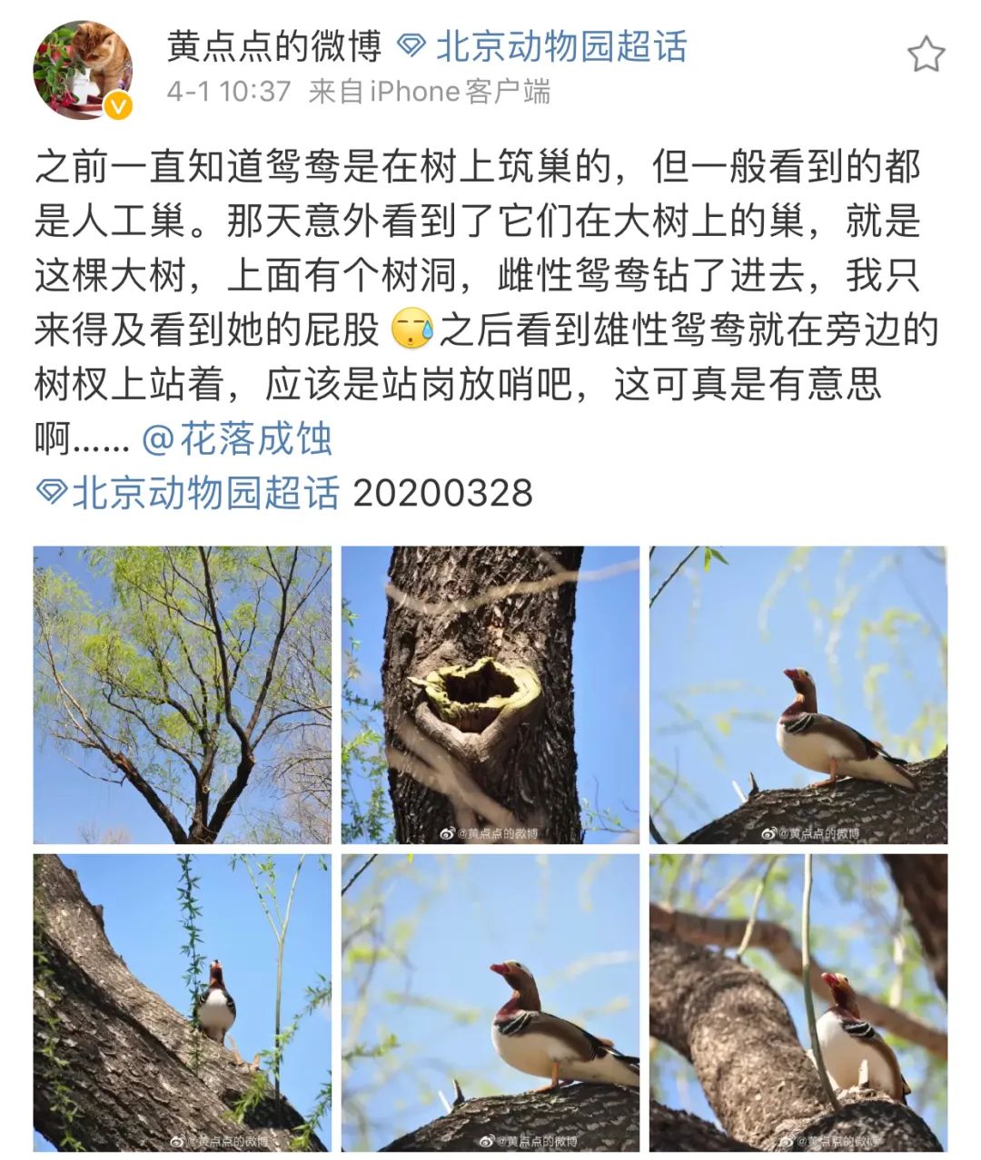 春天来了动物又到了交配的季节