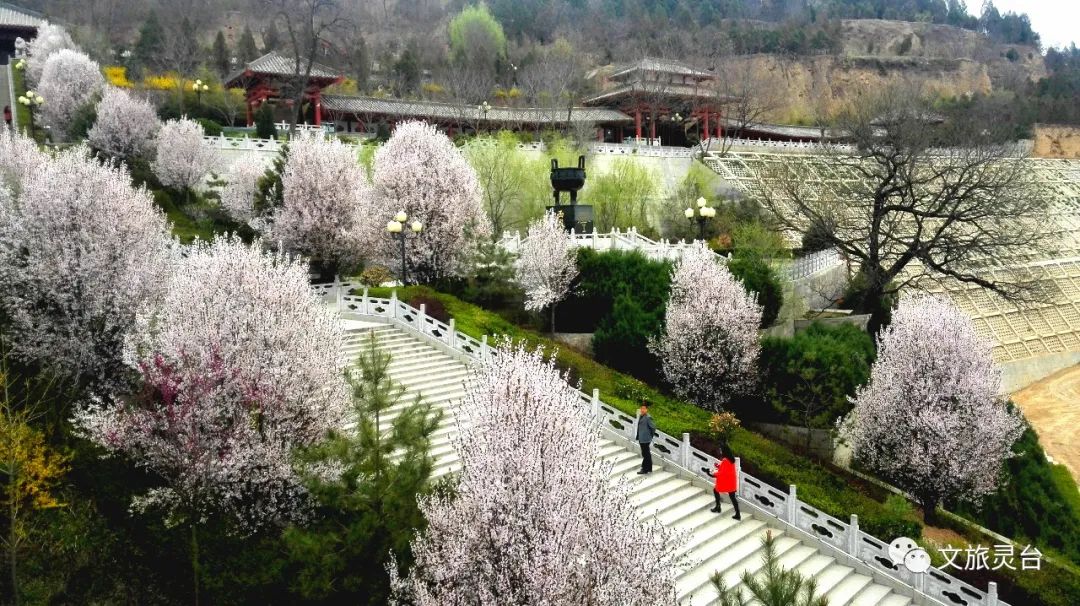 灵台县文体广电和旅游局来源:旅游股原标题:《旅游丨清明小长假带火灵