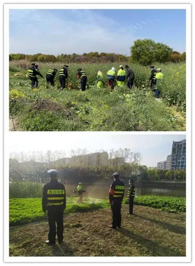 "春雷行动"之滨湖篇 | 全面出击,重拳整治