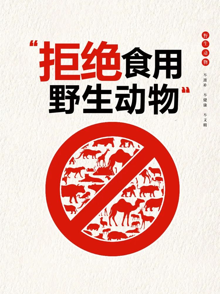 文明是一种习惯不妨从用餐开始