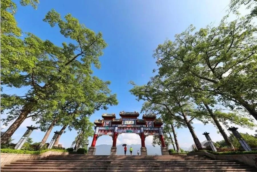 最美生态绿洲!一文告诉你肇庆为何这么美