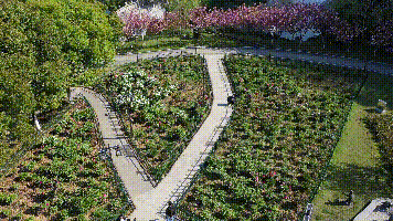 356_200gif 动态图 动图