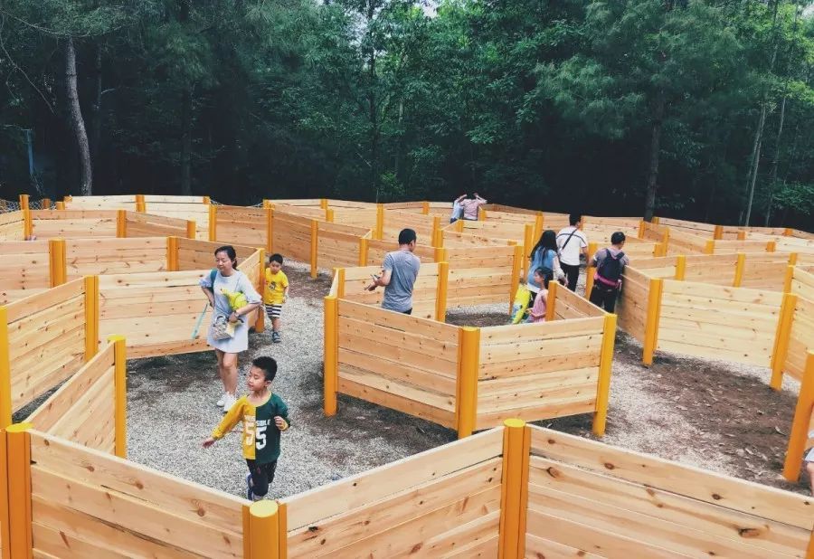 云游咸宁原始丛林里寻松鼠畅享全家欢乐时光松鼠部落