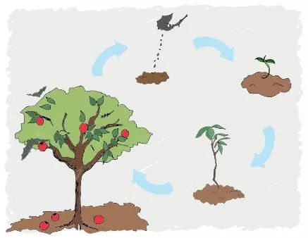 环境我们如何与蝙蝠安全共处一份权威的手册在等你领取