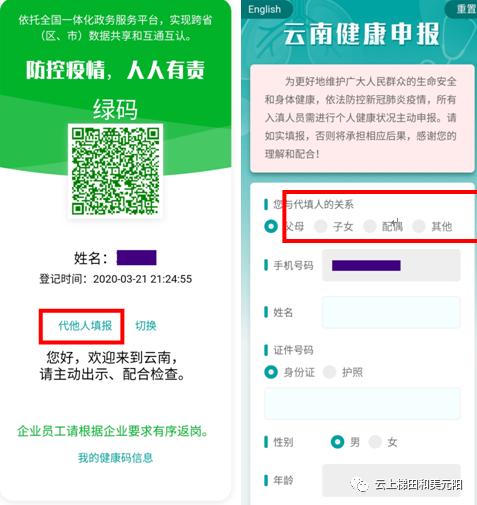 云南健康码申报图片