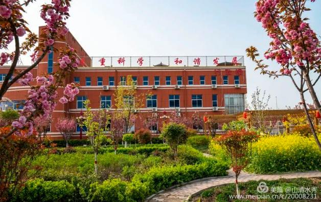 赵县子弟学校子弟樱花盛开期盼学子归来