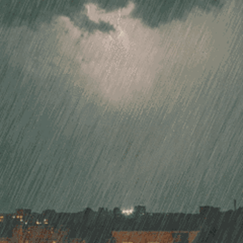 350_350gif 动态图 动图