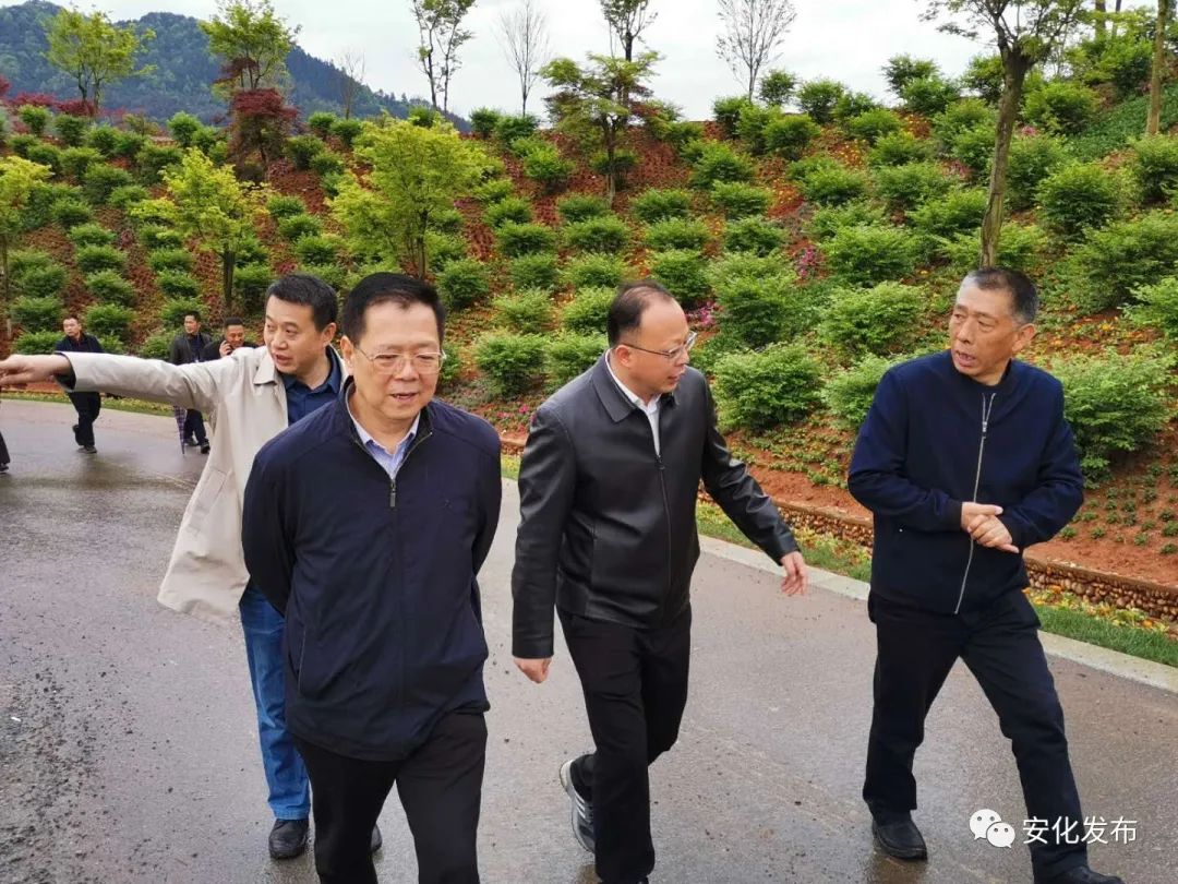 锦绣潇湘遇见安化张严到安化县调研乡村文化旅游节筹备工作