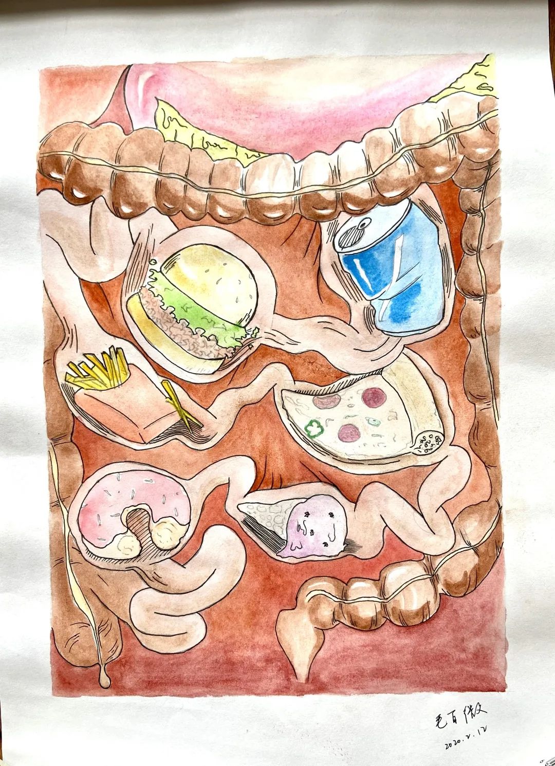 医学与美学的碰撞!不会画器官的医学生不是好艺术家