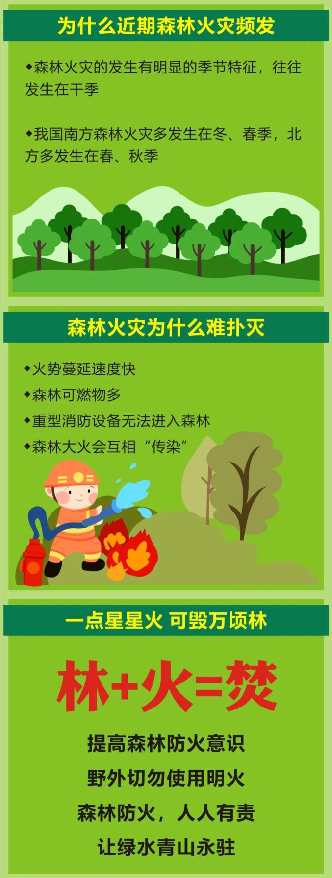 森林火灾高发期这些知识了解一下