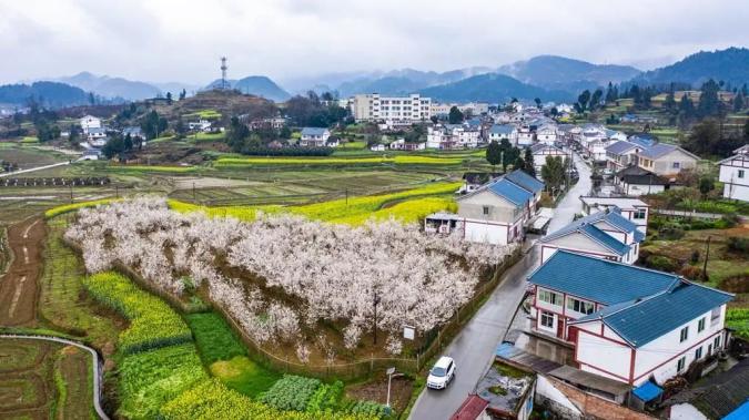 播州区2019年人口_遵义市播州区地图(2)