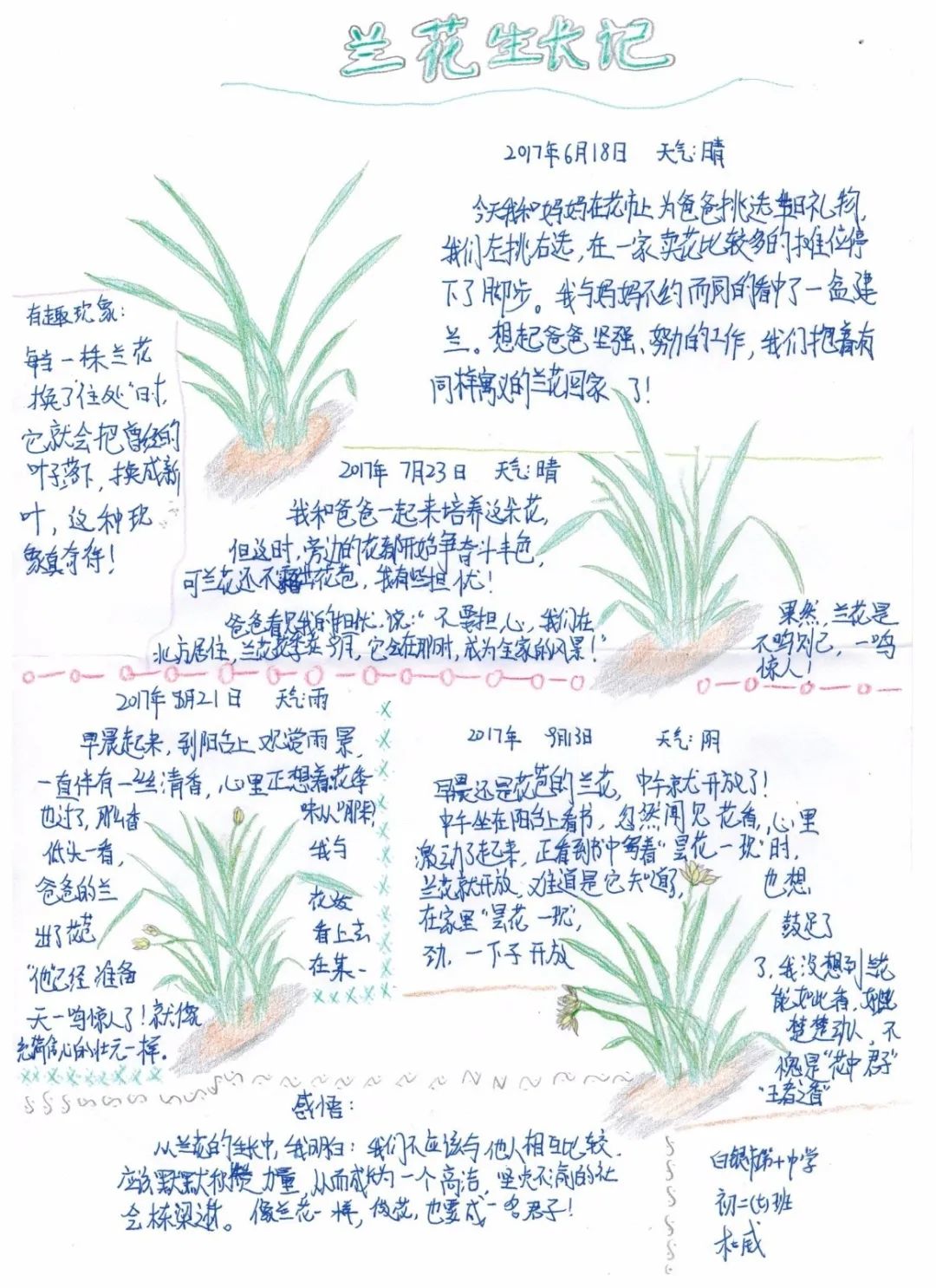 自然筆記全國青少年自然筆記大賽優秀作品欣賞第十七期