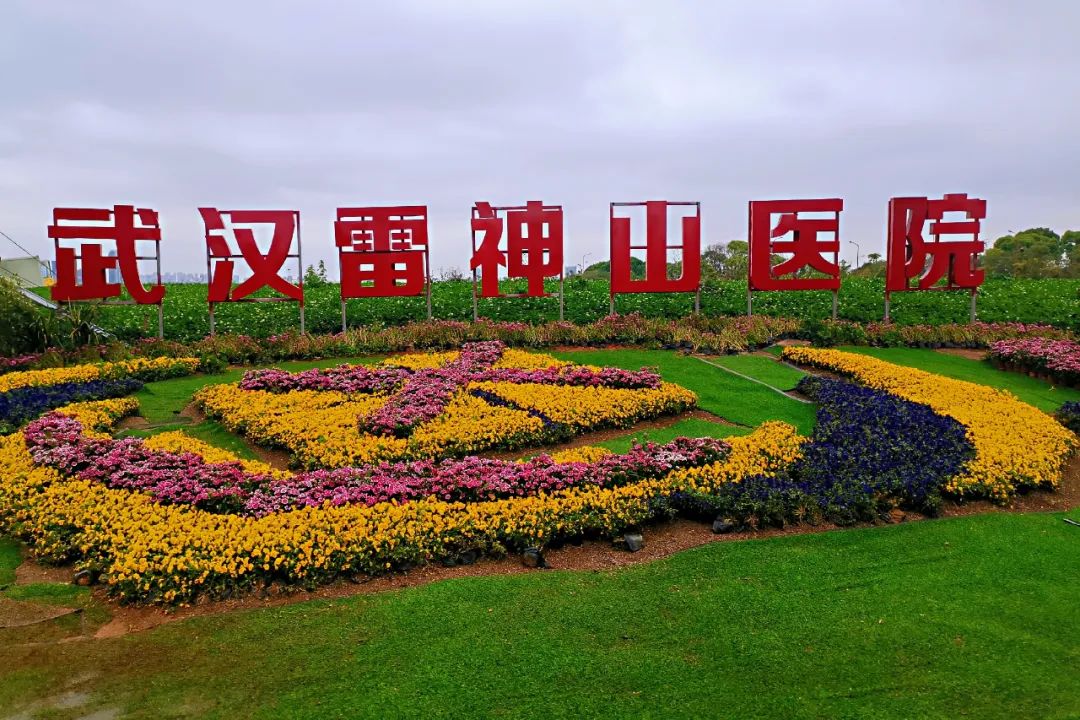 雷神山高清图片