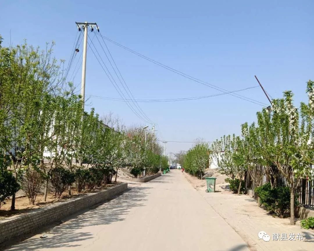 【农村人居环境整治】张村乡打开人居环境发展新格局