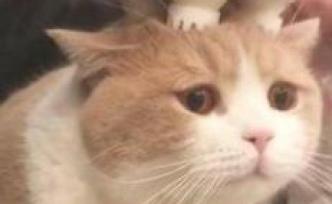 有這個特點的女生，還是別“披頭散發(fā)”了