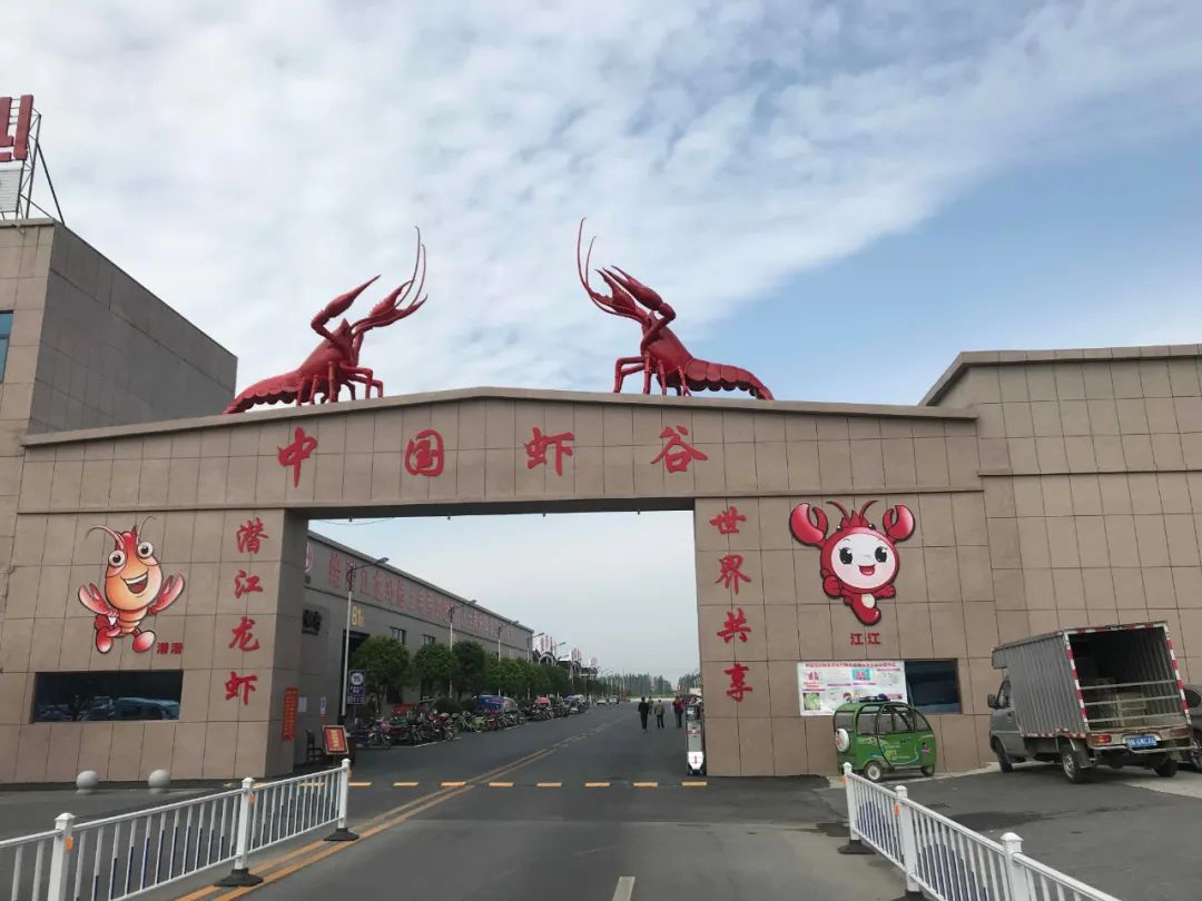 稻田养虾 后又发展为"虾稻共作"模式 使其产量猛增不下 潜江小龙虾 尾