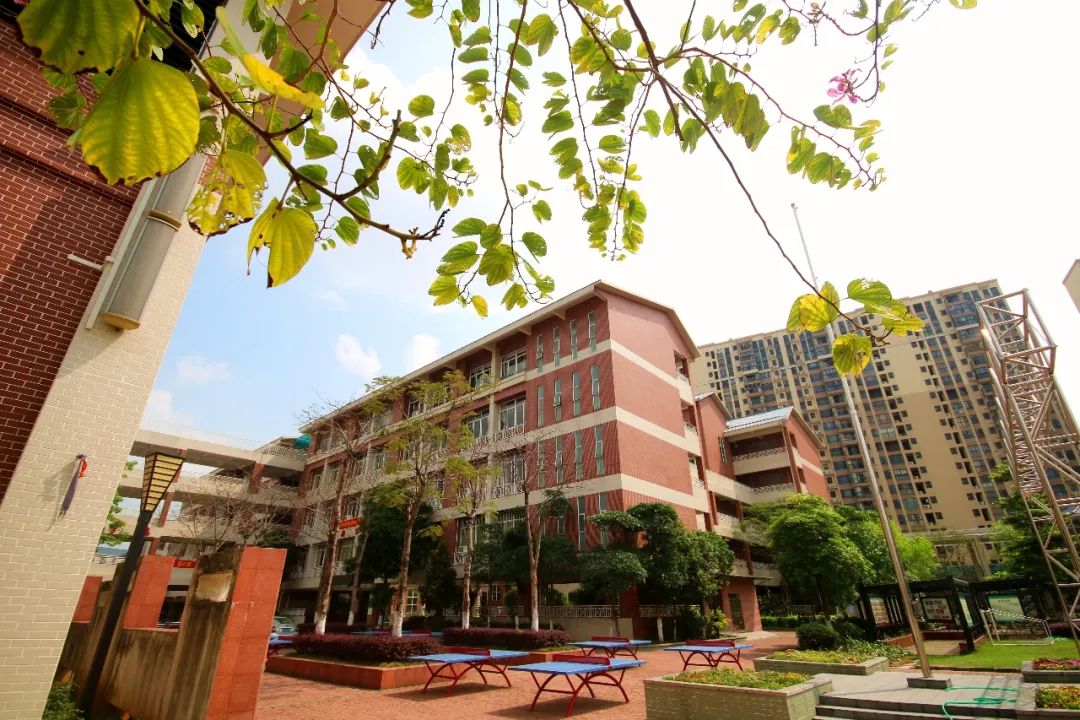 想念佛山校园了?拍给你看!