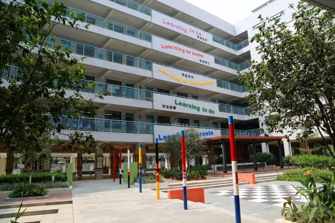 顺德区华侨中学红棉怒放校园正红足球场的青草吐露嫩芽校道旁的杜鹃