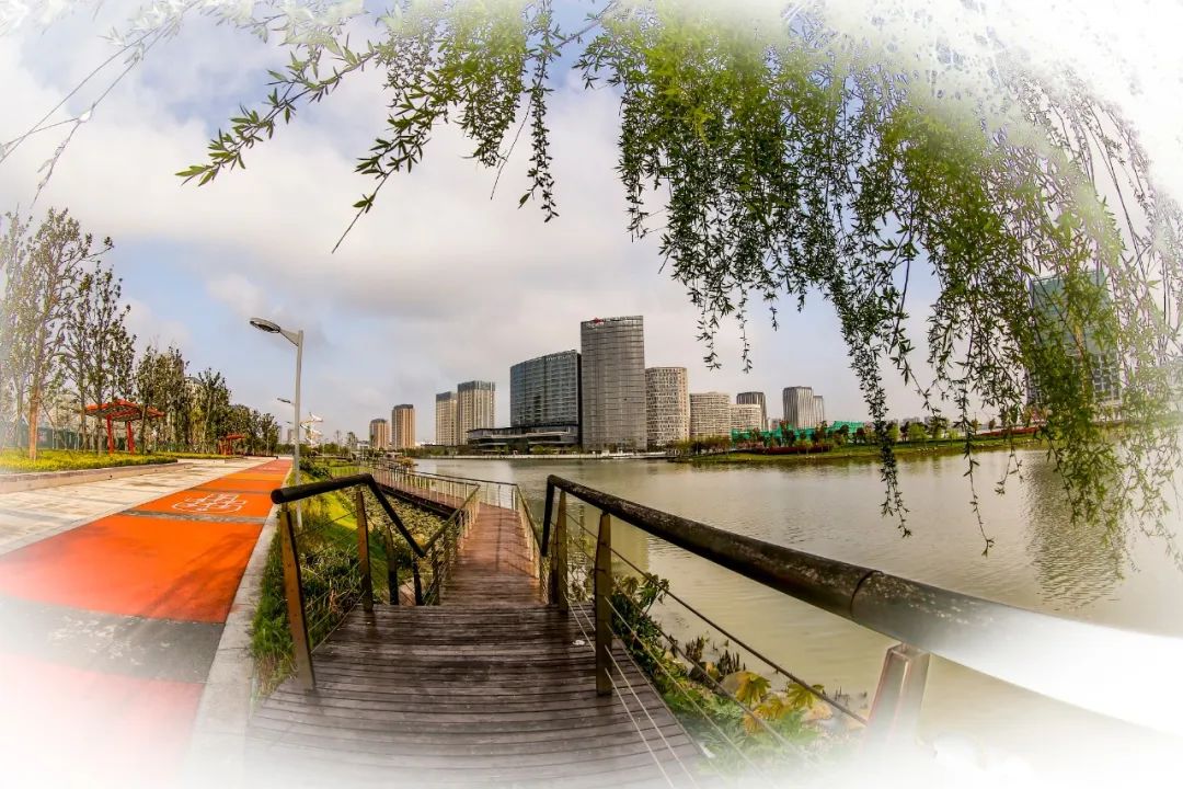 网红打卡新地标松江这座生态滨水休闲公园你去过吗