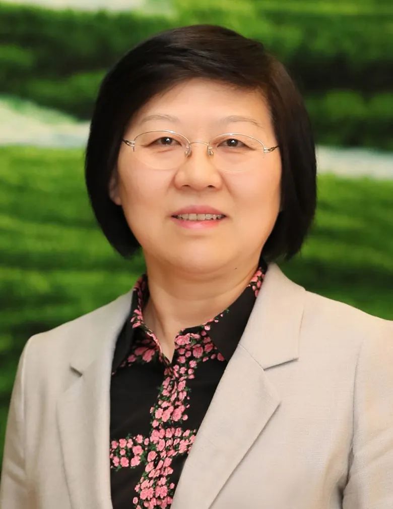 代表最关注杨临萍为建设法治化营商环境贡献司法力量