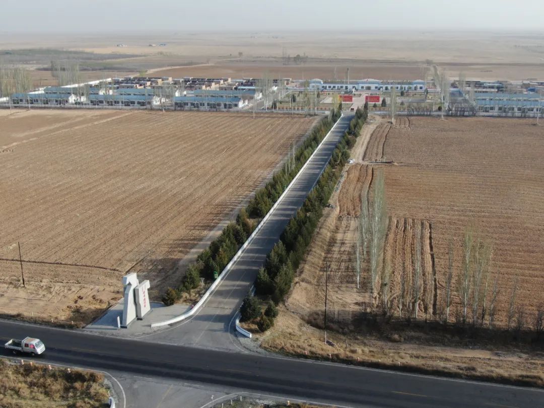 铁腕治乱良药祛陋匠心提质上海庙镇人居环境整治成效显著