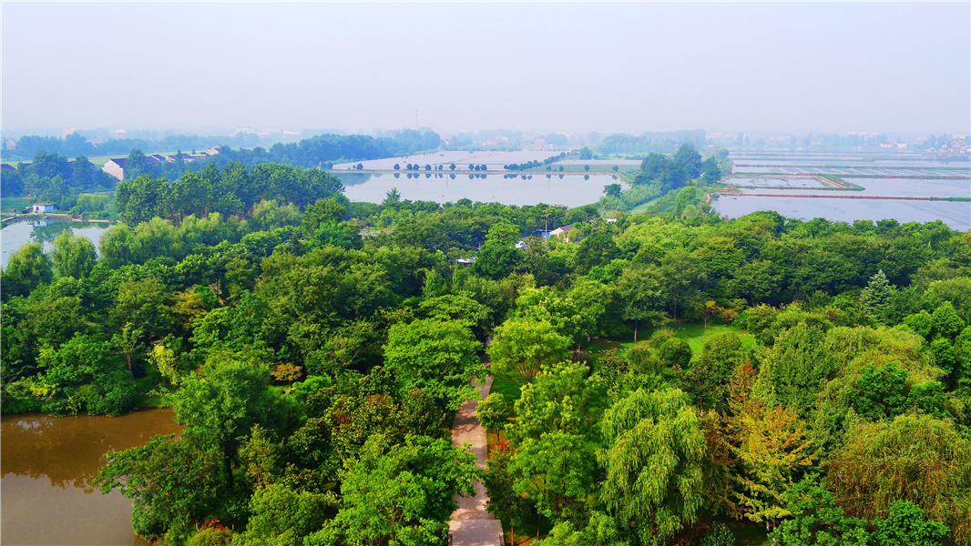 图为靖江生祠镇东进村.盛义摄