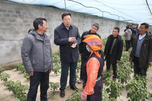 这是在浪卡子县翁果菜篮子基地,吴英杰与当地群众交谈,详细了解基地运营及带动农牧民脱贫致富情况。记者 姚海全 摄