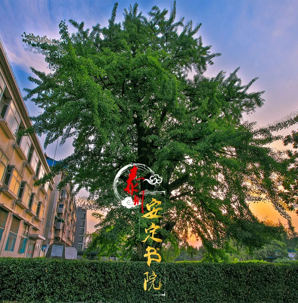 安定书院琅琅书声越千年