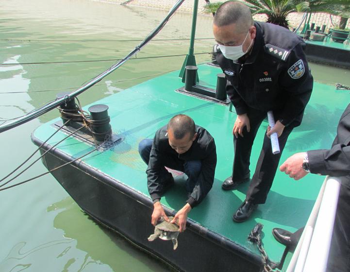 综合整治 亮剑长江 | 重庆分局连续破获多起非法捕捞案