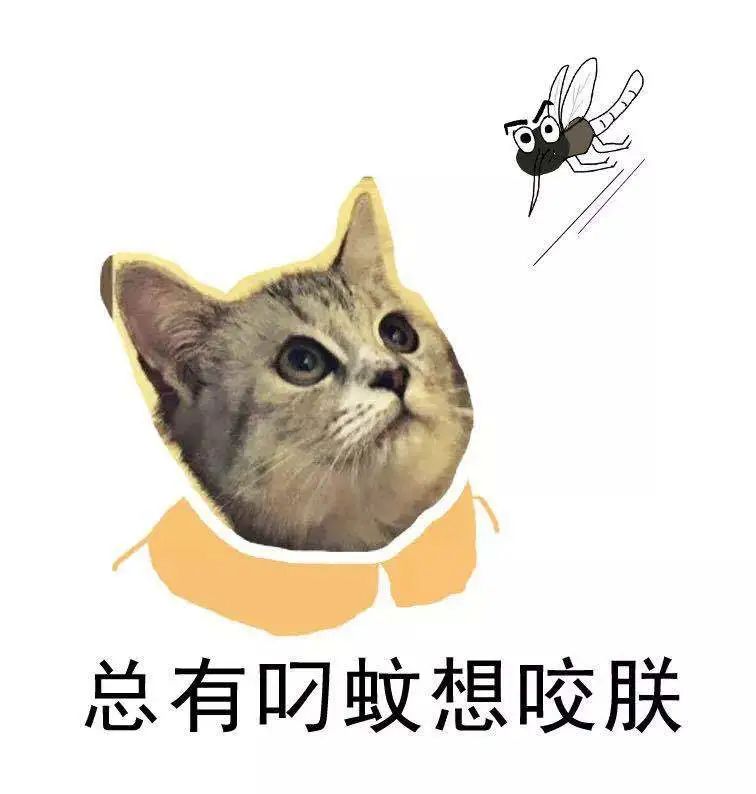 下周冷空气将至,气温"大跳水"!