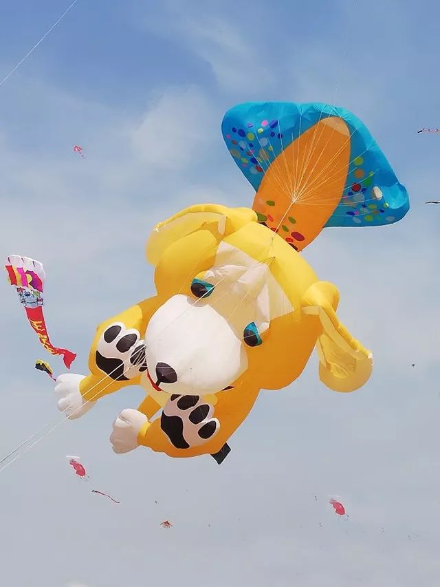 24米的大风筝见过谁放谁还不一定