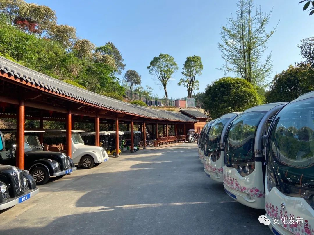 備戰鄉村旅遊節茶鄉花海不斷完善旅遊景區配套建設