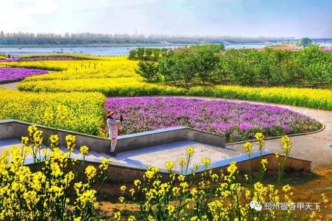 云赏大邳春意浓你的笑容开在春风里