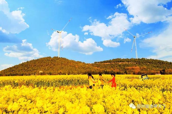 云赏大邳春意浓你的笑容开在春风里