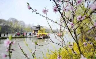 谷雨时节，追寻北京人记忆里的永恒春味