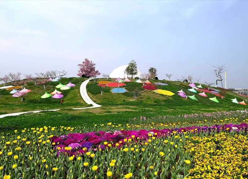 经营转变,其总的思路是:将蔚然花海打造成为一站式户外生活方式体验地