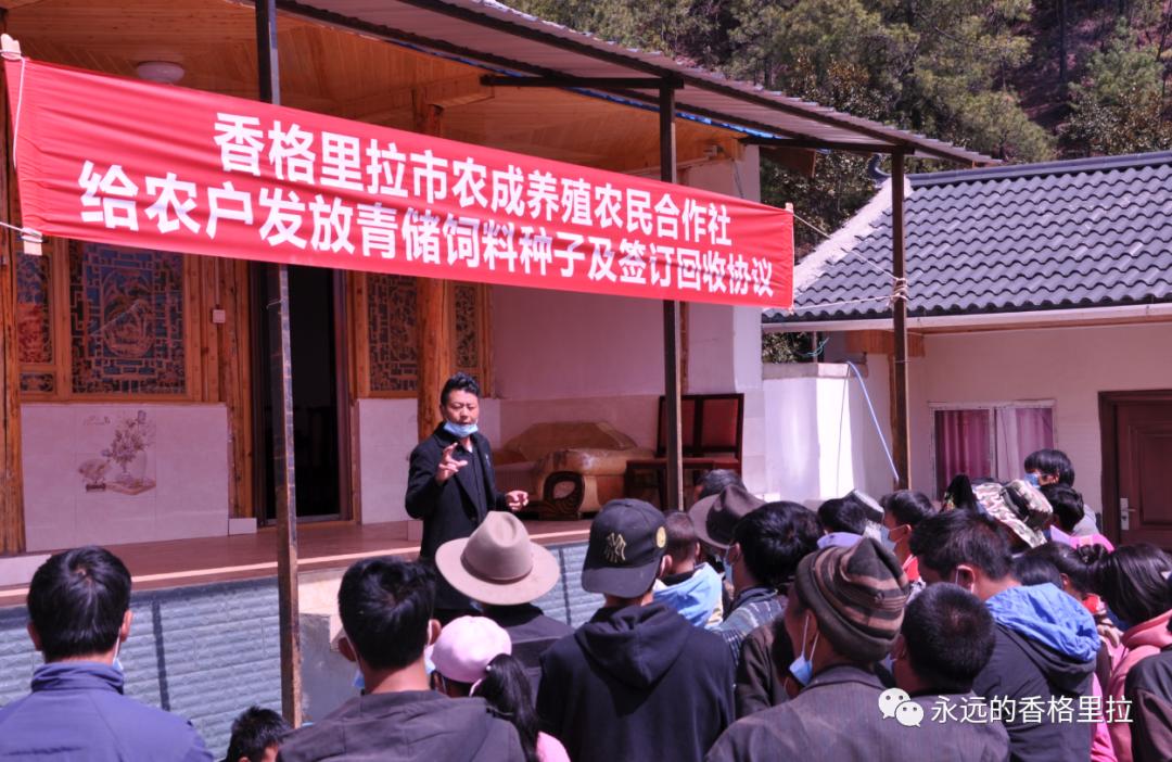 4月18日上午,香格里拉市三坝乡东坝村道谷村民小组群众,集中在