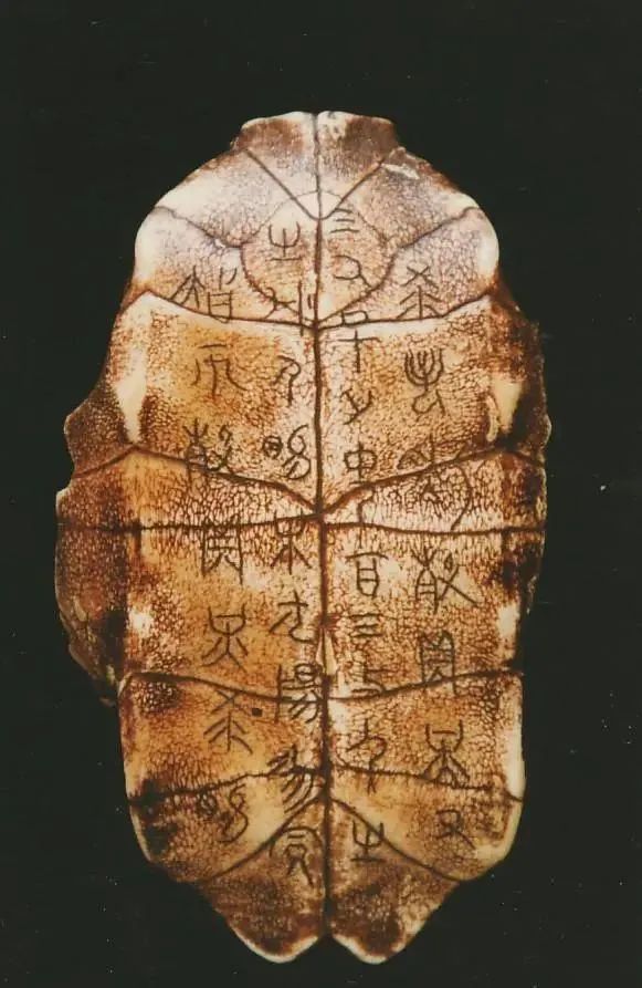 仁义礼智信"为文化主线,共同举办了首届"华夏文字节",呈现了以甲骨文