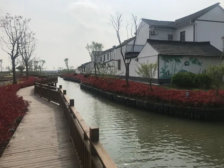 人间四月天,在松江区石湖荡镇金胜村的吴桥队,一处小池塘波光粼粼