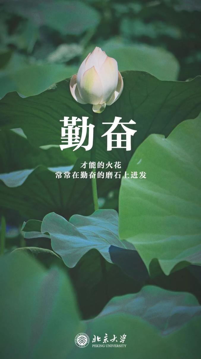 我在北大等你如何顺利地通过考研复试