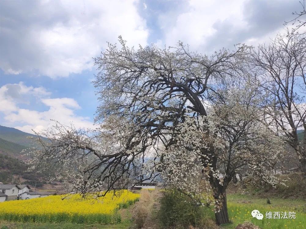 脚踏泥土庭院清香