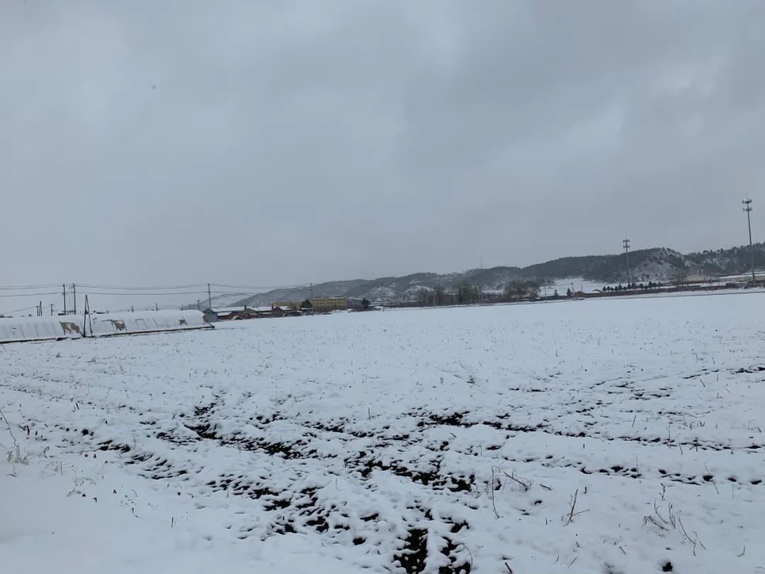 東北內蒙古等地出現暴雪未來三天大風仍不停