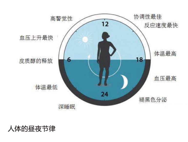 【学会中医】源于《黄帝内经》的智慧:中医养生四大基石之起居养生