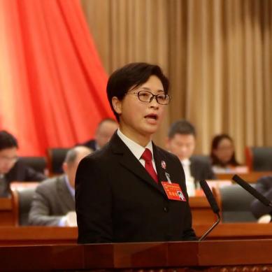 海盐法院党组书记,院长黄欢向大会作工作报告