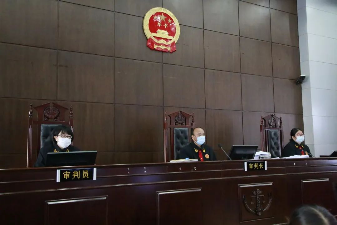 楚雄市人民法院公开开庭审理代某军等15人恶势力犯罪集团案40余名人大