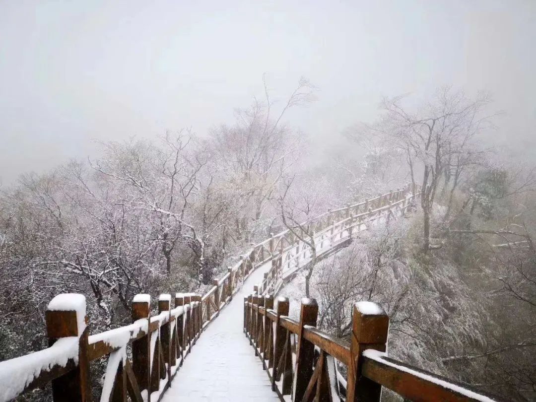 不敢相信今天唐家河下雪了