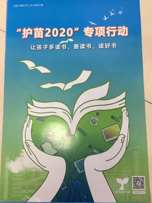 通过持续,广泛宣传,显著增强"护苗"行动社会影响,大力促进政府,社会