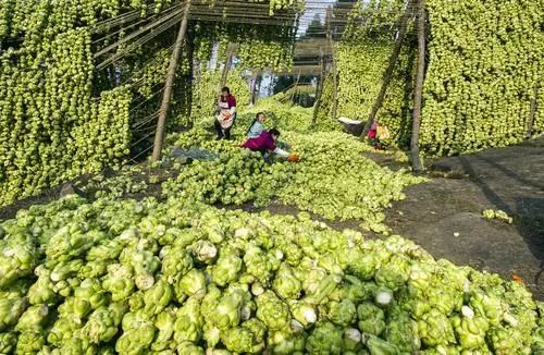 經濟春雷點燃渝味涪陵榨菜賣斷貨了